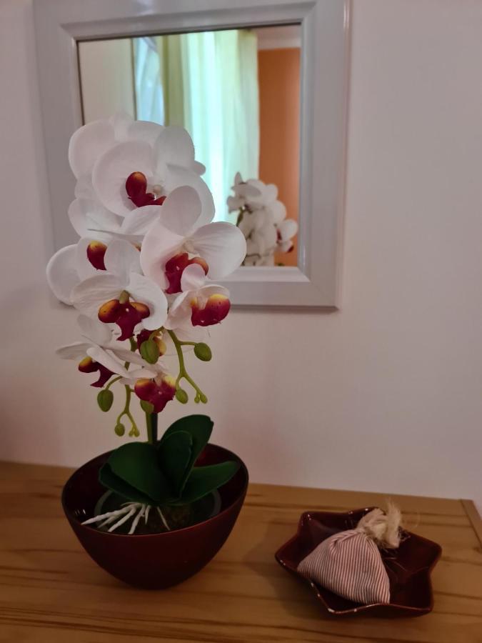 Villa Antonio Abbázia Kültér fotó